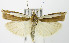  ( - MDH003958)  @13 [ ] Unspecified (default): All Rights Reserved  Unspecified Unspecified