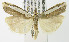  ( - MDH005680)  @13 [ ] Unspecified (default): All Rights Reserved  Unspecified Unspecified