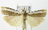  ( - MDH005147)  @14 [ ] Unspecified (default): All Rights Reserved  Unspecified Unspecified