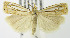  ( - MDH003541)  @13 [ ] Unspecified (default): All Rights Reserved  Unspecified Unspecified