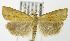  ( - MDH006052)  @14 [ ] Unspecified (default): All Rights Reserved  Unspecified Unspecified