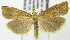  ( - MDH006409)  @15 [ ] Unspecified (default): All Rights Reserved  Unspecified Unspecified