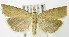  ( - MDH004771)  @14 [ ] Unspecified (default): All Rights Reserved  Unspecified Unspecified