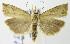  ( - MDH003269)  @13 [ ] Unspecified (default): All Rights Reserved  Unspecified Unspecified