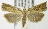  ( - MDH007000)  @13 [ ] Unspecified (default): All Rights Reserved  Unspecified Unspecified