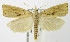  ( - MDH005371)  @13 [ ] Unspecified (default): All Rights Reserved  Unspecified Unspecified