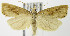  ( - MDH006280)  @13 [ ] Unspecified (default): All Rights Reserved  Unspecified Unspecified