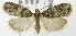  ( - MDH007163)  @13 [ ] Unspecified (default): All Rights Reserved  Unspecified Unspecified