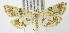  ( - MDH003259)  @14 [ ] Unspecified (default): All Rights Reserved  Unspecified Unspecified