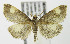  ( - MDH006256)  @13 [ ] Unspecified (default): All Rights Reserved  Unspecified Unspecified
