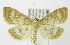  ( - MDH005484)  @14 [ ] Unspecified (default): All Rights Reserved  Unspecified Unspecified