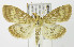  ( - MDH005477)  @14 [ ] Unspecified (default): All Rights Reserved  Unspecified Unspecified