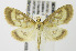  ( - MDH006229)  @15 [ ] Unspecified (default): All Rights Reserved  Unspecified Unspecified