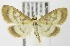  ( - MDH007513)  @14 [ ] Unspecified (default): All Rights Reserved  Unspecified Unspecified