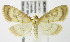  ( - MDH007532)  @14 [ ] Unspecified (default): All Rights Reserved  Unspecified Unspecified