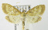  ( - MDH004693)  @15 [ ] Unspecified (default): All Rights Reserved  Unspecified Unspecified