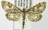  ( - MDH004296)  @14 [ ] Unspecified (default): All Rights Reserved  Unspecified Unspecified