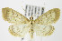  ( - MDH006254)  @14 [ ] Unspecified (default): All Rights Reserved  Unspecified Unspecified
