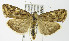  ( - DH006127)  @14 [ ] Unspecified (default): All Rights Reserved  Unspecified Unspecified