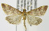  ( - MDH003755)  @13 [ ] Unspecified (default): All Rights Reserved  Unspecified Unspecified