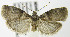  ( - MDH007732)  @14 [ ] Unspecified (default): All Rights Reserved  Unspecified Unspecified