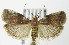  ( - MDH006976)  @14 [ ] Unspecified (default): All Rights Reserved  Unspecified Unspecified