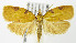  ( - MDH006301)  @13 [ ] Unspecified (default): All Rights Reserved  Unspecified Unspecified