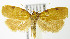  ( - MDH006300)  @14 [ ] Unspecified (default): All Rights Reserved  Unspecified Unspecified