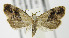  ( - MDH005159)  @14 [ ] Unspecified (default): All Rights Reserved  Unspecified Unspecified