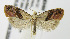  ( - MDH007374)  @14 [ ] Unspecified (default): All Rights Reserved  Unspecified Unspecified