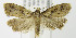  ( - MDH005723)  @13 [ ] Unspecified (default): All Rights Reserved  Unspecified Unspecified