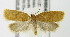  (Acleris kearfottana - MDH004685)  @15 [ ] Unspecified (default): All Rights Reserved  Unspecified Unspecified