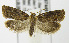  ( - MDH007448)  @13 [ ] Unspecified (default): All Rights Reserved  Unspecified Unspecified