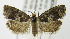 ( - MDH005729)  @14 [ ] Unspecified (default): All Rights Reserved  Unspecified Unspecified