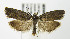  ( - MDH005188)  @14 [ ] Unspecified (default): All Rights Reserved  Unspecified Unspecified