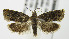  ( - MDH006378)  @13 [ ] Unspecified (default): All Rights Reserved  Unspecified Unspecified