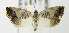  ( - MDH007240)  @13 [ ] Unspecified (default): All Rights Reserved  Unspecified Unspecified