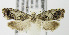  ( - MDH005990)  @12 [ ] Unspecified (default): All Rights Reserved  Unspecified Unspecified