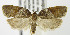  ( - MDH003330)  @14 [ ] Unspecified (default): All Rights Reserved  Unspecified Unspecified