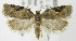  ( - MDH005741)  @13 [ ] Unspecified (default): All Rights Reserved  Unspecified Unspecified