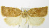  ( - MDH005301)  @13 [ ] Unspecified (default): All Rights Reserved  Unspecified Unspecified