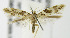  ( - MDH006218)  @14 [ ] Unspecified (default): All Rights Reserved  Unspecified Unspecified