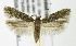  ( - MDH006165)  @14 [ ] Unspecified (default): All Rights Reserved  Unspecified Unspecified