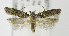  ( - MDH005771)  @14 [ ] Unspecified (default): All Rights Reserved  Unspecified Unspecified