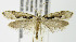  ( - MDH005008)  @13 [ ] Unspecified (default): All Rights Reserved  Unspecified Unspecified