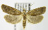  ( - MDH004799)  @14 [ ] Unspecified (default): All Rights Reserved  Unspecified Unspecified