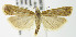 ( - MDH000756)  @13 [ ] Unspecified (default): All Rights Reserved  Unspecified Unspecified