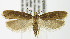  ( - MDH000633)  @14 [ ] Unspecified (default): All Rights Reserved  Unspecified Unspecified