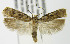  ( - MDH003648)  @14 [ ] Unspecified (default): All Rights Reserved  Unspecified Unspecified