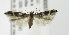  ( - MDH005781)  @13 [ ] Unspecified (default): All Rights Reserved  Unspecified Unspecified